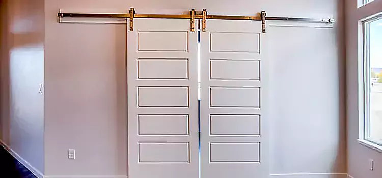 Glass Barn Door with Installation Hardware Kit St. Marys